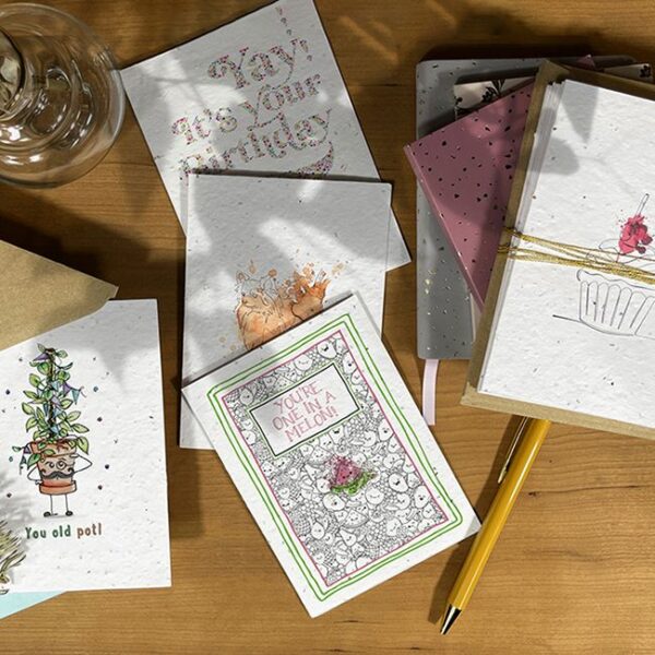 The Seed Card Company is growing! - Home & Giftware Magazine