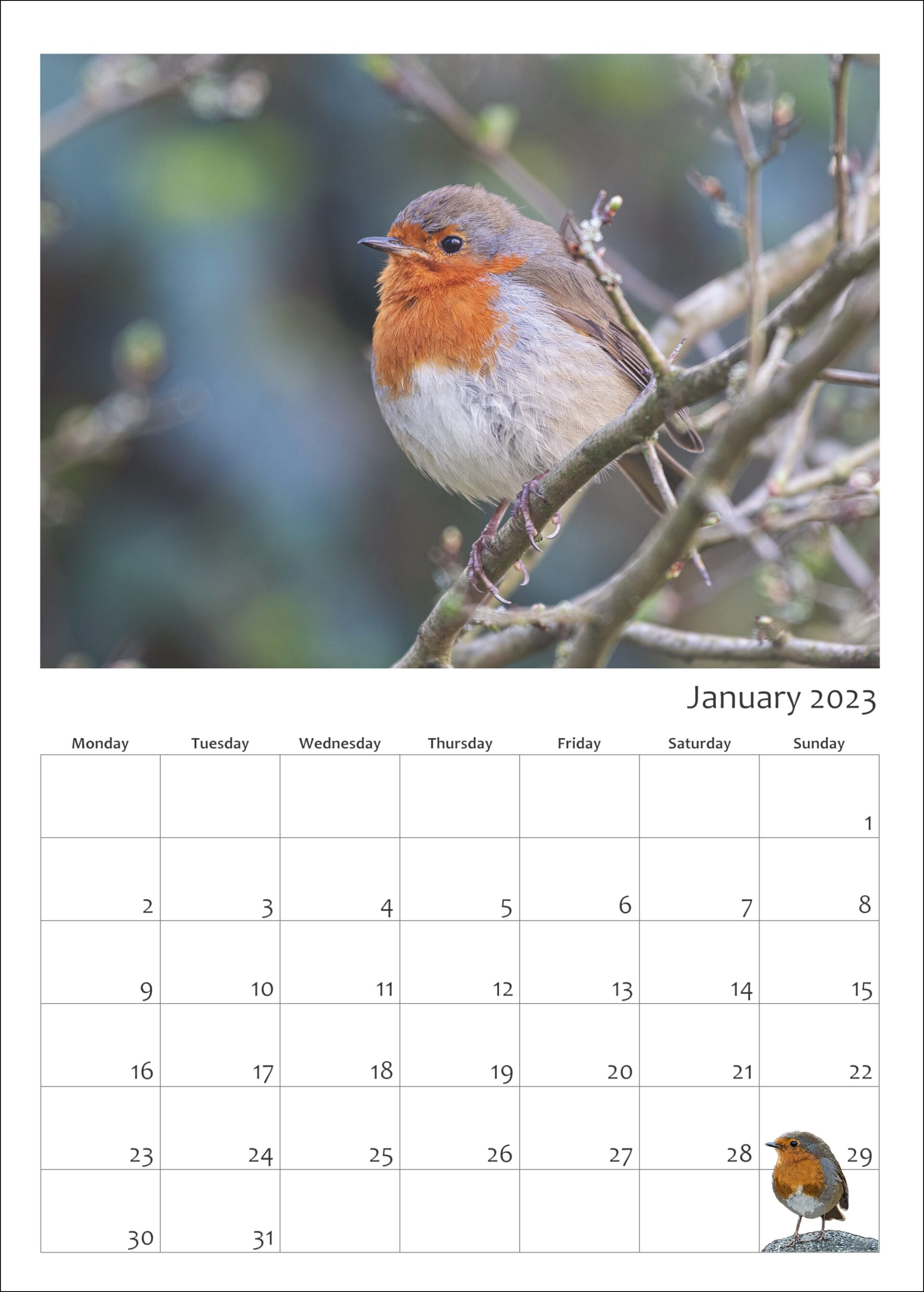 Calendars, cards and giftware from The Licky Cow Gallery - Home ...