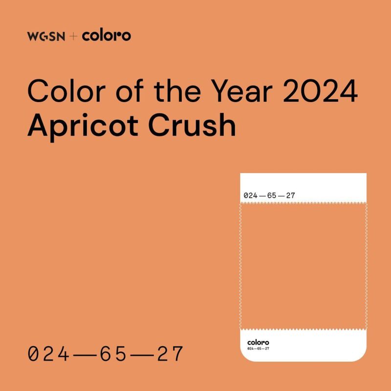 Apricot Crush Colour of the Year 2024 Home & Giftware Magazine